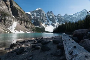 Canada’s Scotiabank preps for its AI future